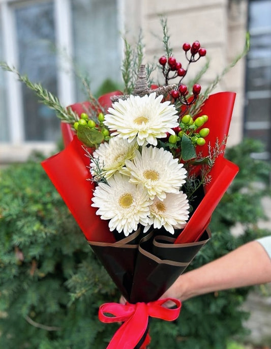 Same day flower delivery Toronto GTA – Arctic Cheer white gerbera bouquet in festive red wrap