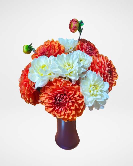 Elegant Energy Dahlia Arrangement image 0