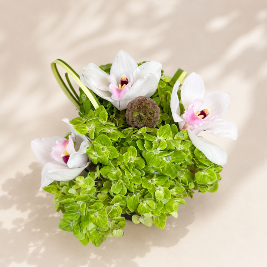Luxury green orchid centerpiece designed for flower delivery in Toronto and the GTA