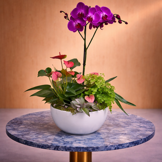 same day tropical flower delivery Toronto modern indoor tropical plant design