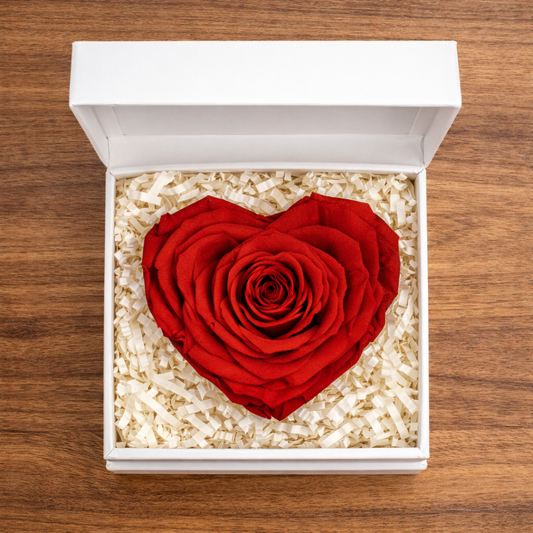 Red preserved rose shaped like a heart inside an open presentation box.