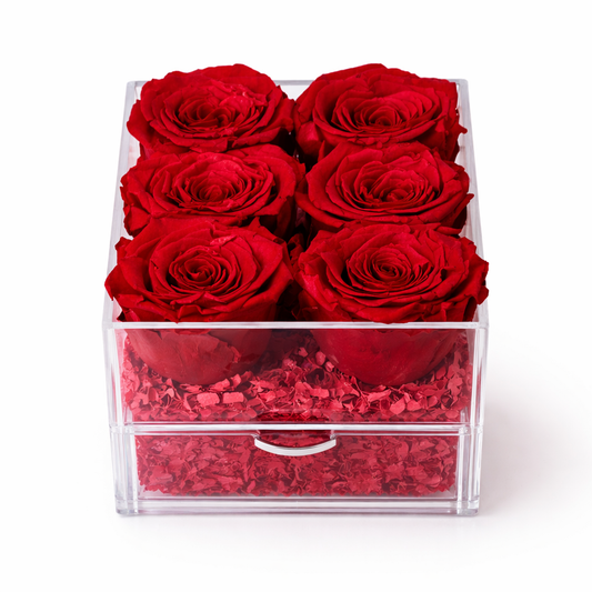 Red preserved roses luxury gift box Endless Grace