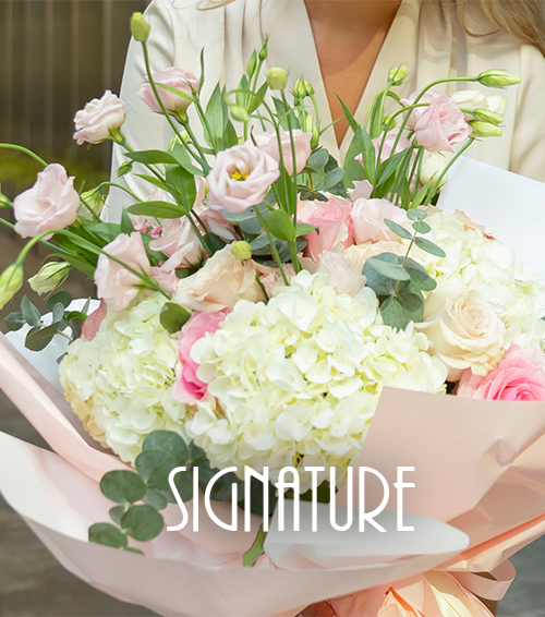 Signature flower bouquet with pink roses and white hydrangeas – Amarilis Flowers Toronto