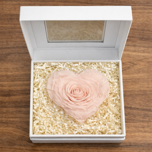 White preserved rose heart arranged inside a luxury keepsake box.