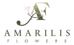 Amarilis Flowers