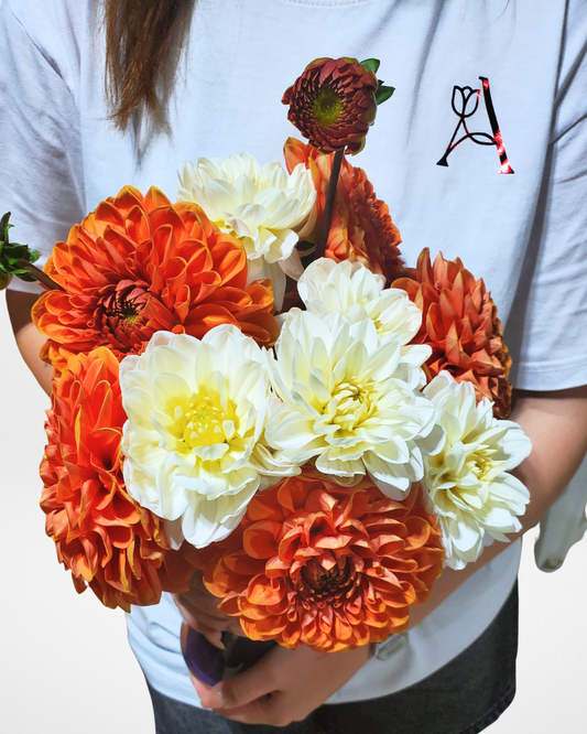 Elegant Energy Dahlia Arrangement image 1