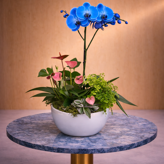 Floral arrangement with blue orchids and pink flowers in a white pot on a marble table.