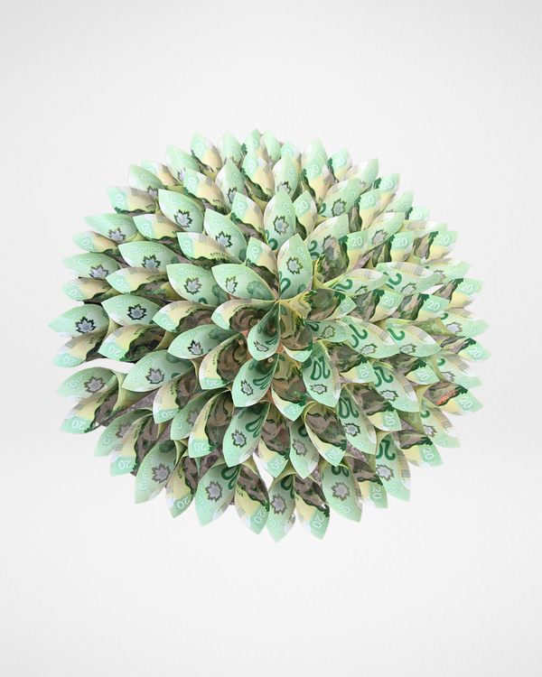 Bills Bouquet キャンバスアート The Apex Note | Money Bouquet 50 $20 Bills Toronto GTA – Amarilis