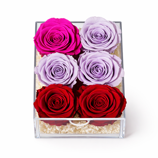 Multicolor preserved roses arrangement in clear acrylic box same day flower delivery Toronto GTA