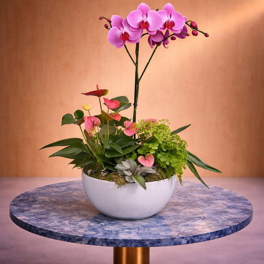 pink orchid with same day flower delivery Toronto elegant orchid anthurium arrangement GTA