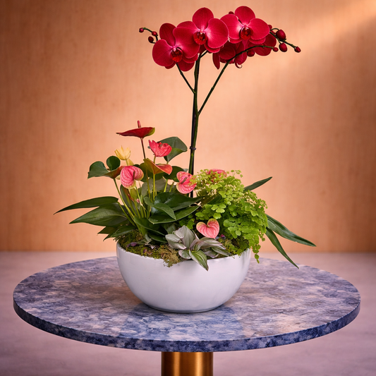 red orchid flower delivery Toronto contemporary tropical floral design