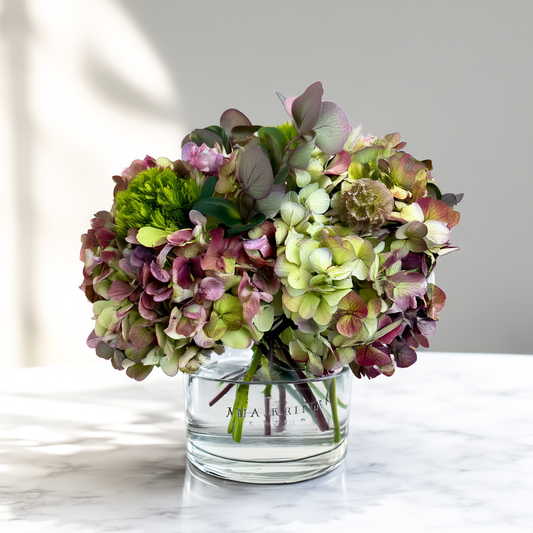Sage Mist Hydrangea Arrangement with antique hydrangeas available for hydrangea flower delivery Toronto