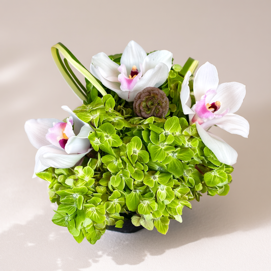Top view of green orchid flower arrangement with hydrangeas and cymbidium orchids