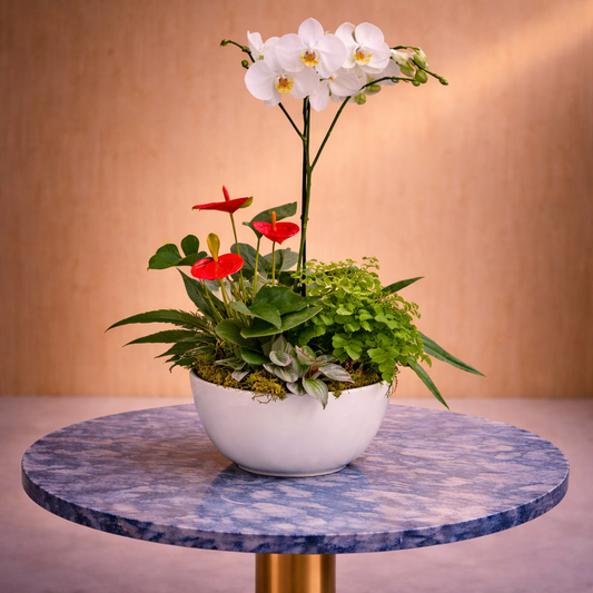 tropical flower delivery Toronto modern orchid and anthurium arrangement